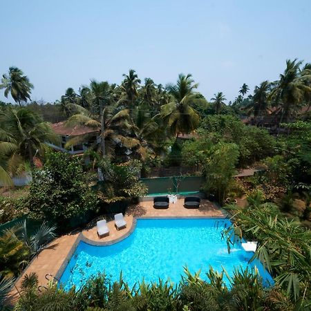 Fig House Anjuna-Chapora Road , Siolim 1Bhk Suite Oxel エクステリア 写真