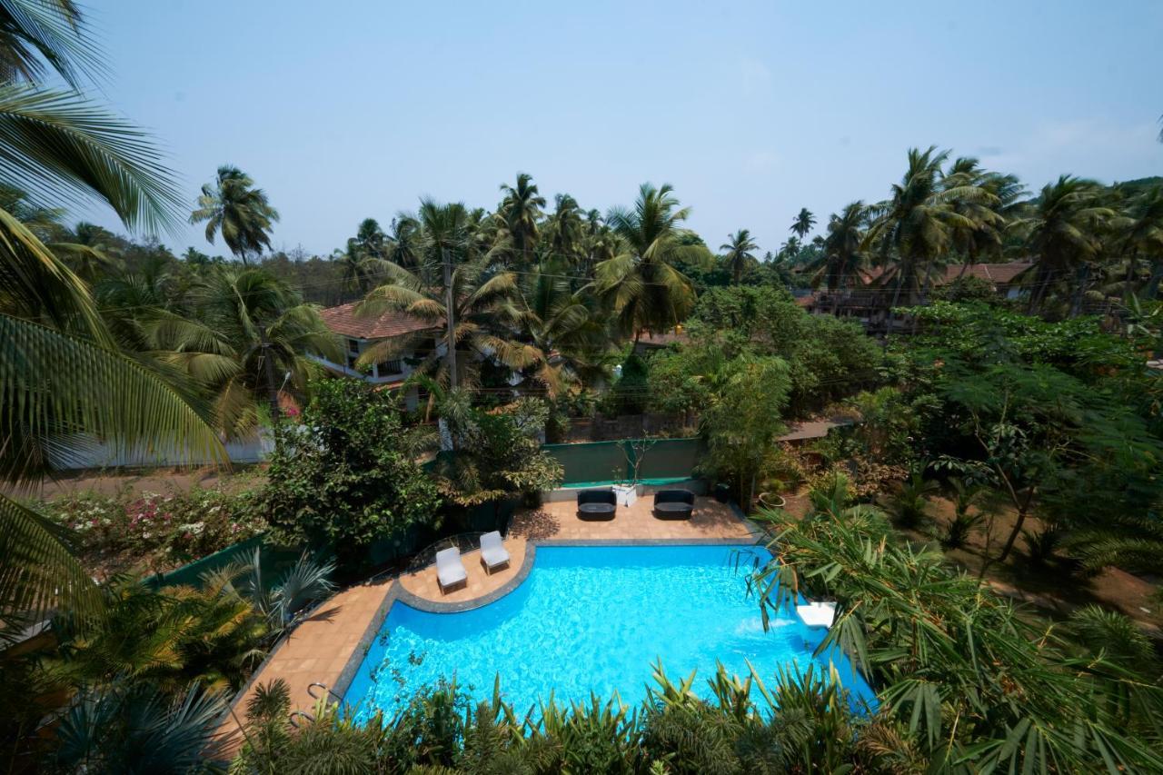 Fig House Anjuna-Chapora Road , Siolim 1Bhk Suite Oxel エクステリア 写真