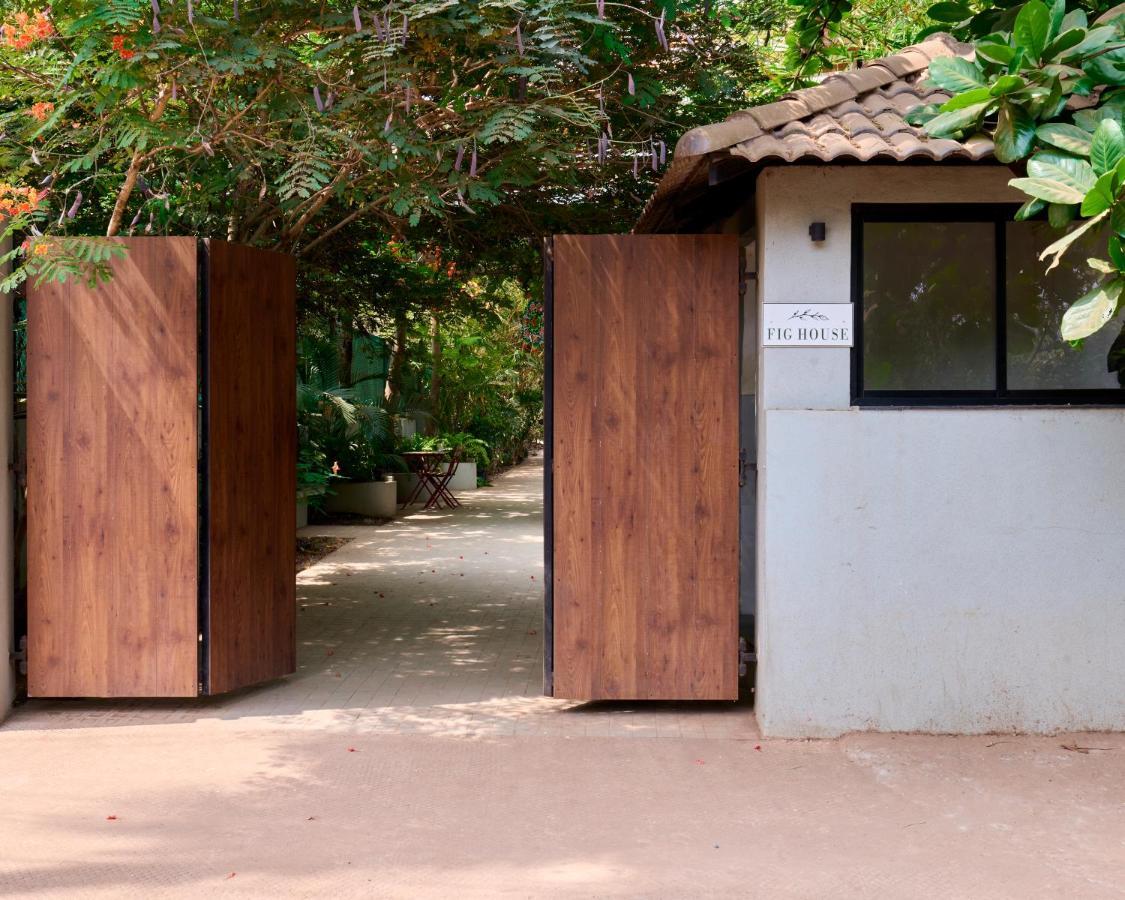 Fig House Anjuna-Chapora Road , Siolim 1Bhk Suite Oxel エクステリア 写真